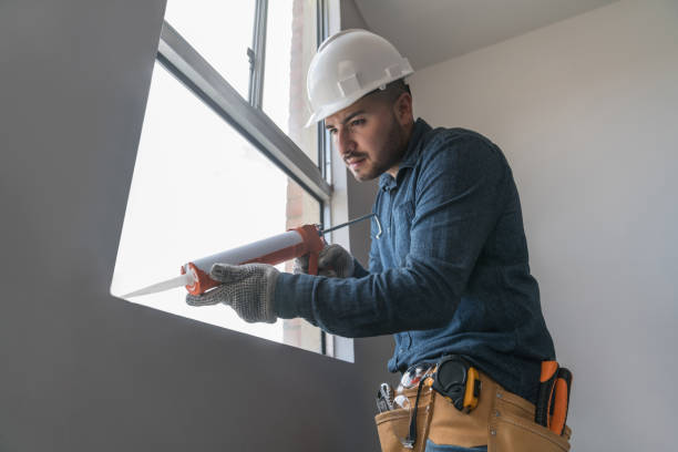 Best Skylight Installation  in Williamson, WV